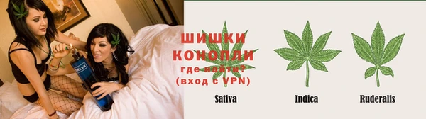 соль ск Алексин