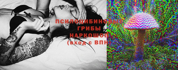 соль ск Алексин